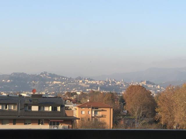Vista