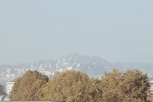 Vista