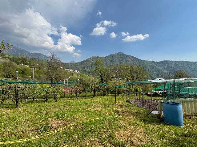 Terreno