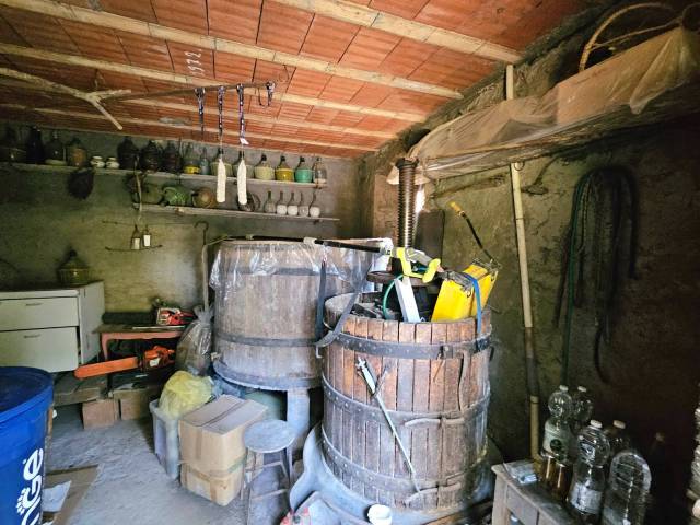 Cantina