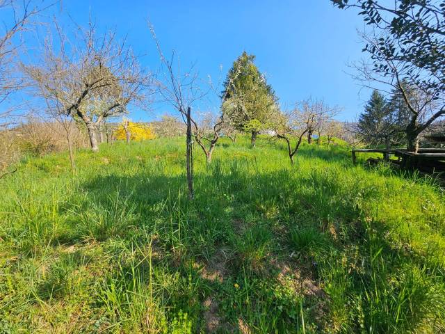 Terreno