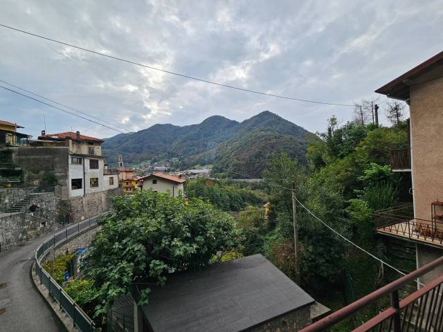Vista