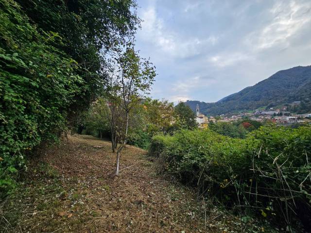 Terreno